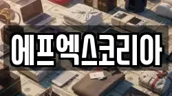 에프엑스코리아