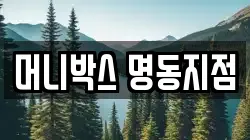 머니박스 명동지점