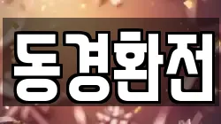 동경환전