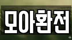 모아환전