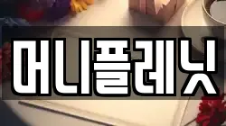 머니플레닛