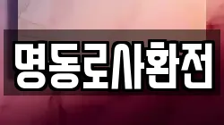 명동로사환전