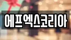 에프엑스코리아