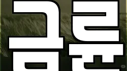 금륜