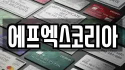 에프엑스코리아