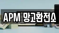 APM 망고환전소