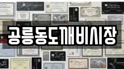 공릉동도깨비시장