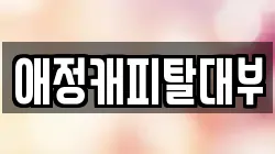 애정캐피탈대부