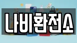 나비환전소