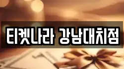 티켓나라 강남대치점