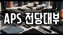 APS 전당대부
