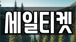 세일티켓