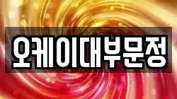 오케이대부문정