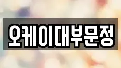 오케이대부문정