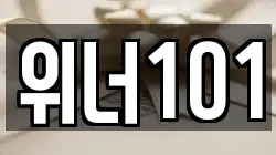 위너101