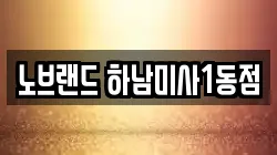 노브랜드 하남미사1동점