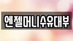 엔젤머니수유대부