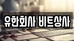 유한회사 비트상사