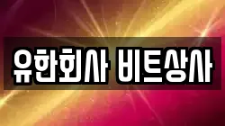 유한회사 비트상사