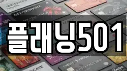플래닝501