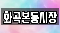 화곡본동시장