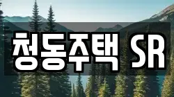 청동주택 SR