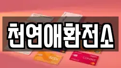 천연애환전소