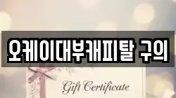 오케이대부캐피탈 구의