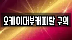 오케이대부캐피탈 구의