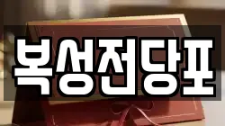 복성전당포