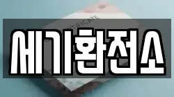 세기환전소