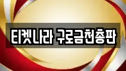 티켓나라 구로금천총판