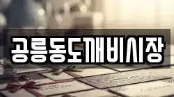 공릉동도깨비시장