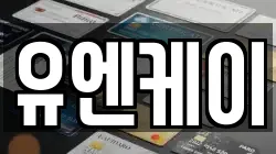 유엔케이