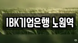 IBK기업은행 노원역