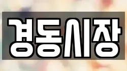 경동시장