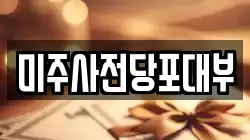 미주사전당포대부
