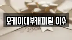 오케이대부캐피탈 이수