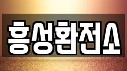흥성환전소