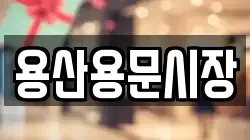 용산용문시장