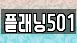 플래닝501