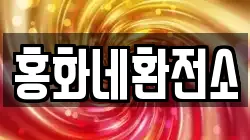 홍화네환전소
