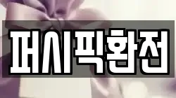 퍼시픽환전