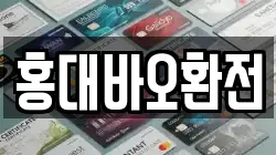 홍대바오환전