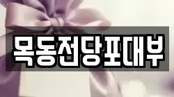 목동전당포대부