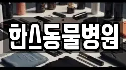 한스동물병원