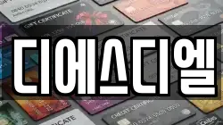 디에스디엘
