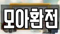 모아환전