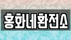 홍화네환전소