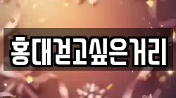 홍대걷고싶은거리